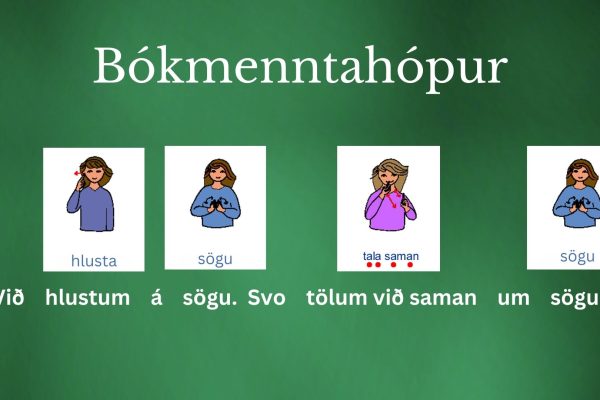 Vor 2024 Bókmenntahópur á heimasíðu (2)