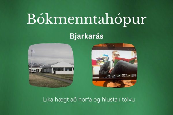 Bókmenntahópur 2