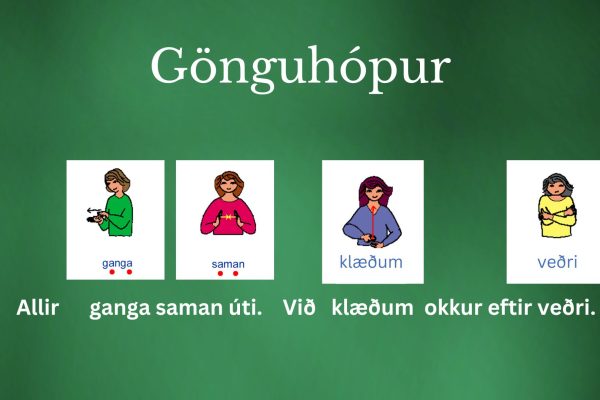 Gönguhópur 2