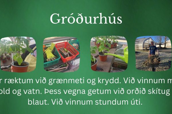 Gróðurhús 1