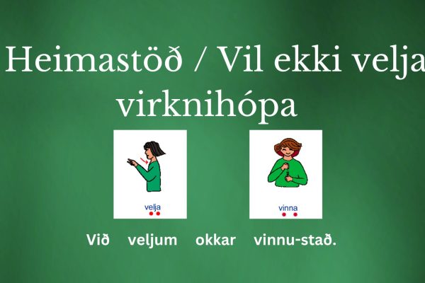 Heimastöð1