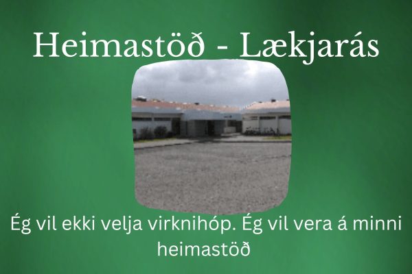 Heimastöð2