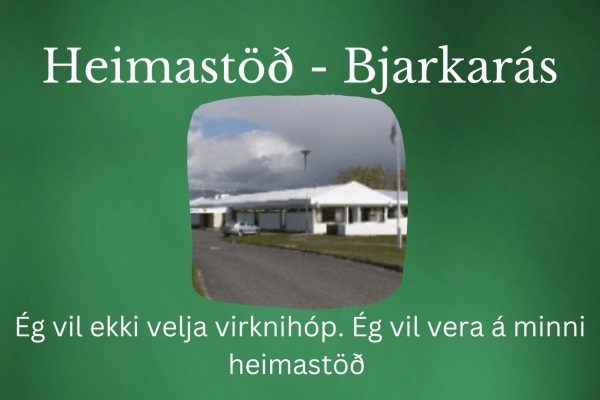 Heimastöð3