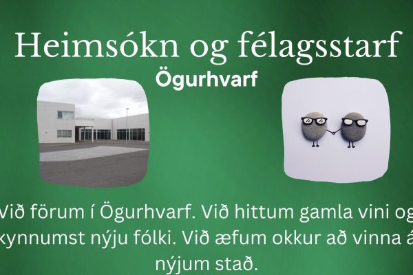 Heimsókn fél. Ö 1