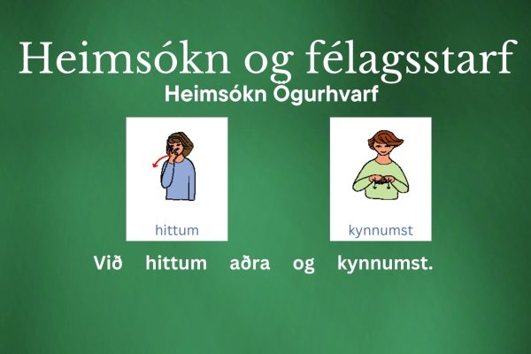 Heimsókn fél. Ö 2