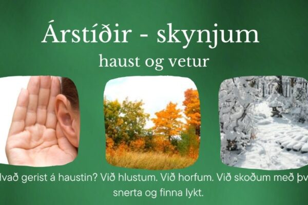 Haust 2025 Virknihópar (2)