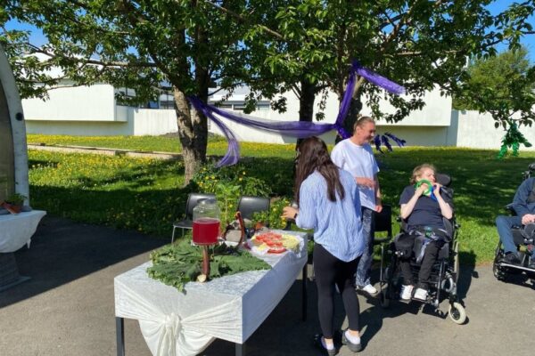 Gróðurhús (4)