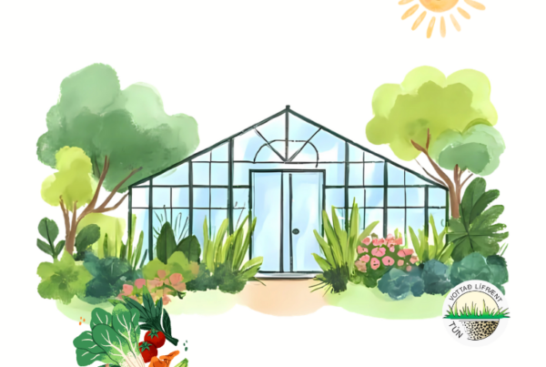 Teikning af gróðurhúsi umvafið grænum trjám og plöntum undir brosandi sól, með vottunarmerki Túns neðst til hægri